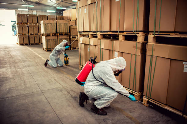 Best Emergency Pest Control  in Comfort, TX