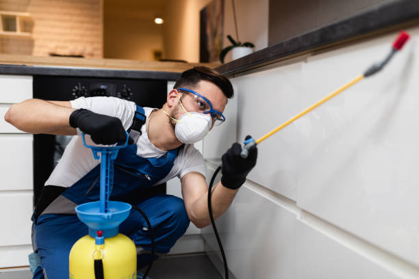 Best Commercial Pest Control Services  in Comfort, TX
