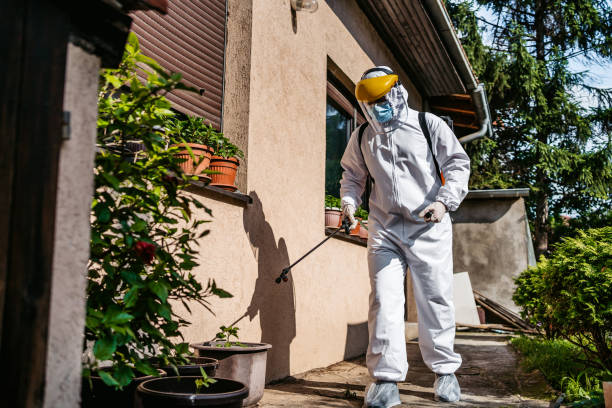Best Commercial Pest Control Services  in Comfort, TX