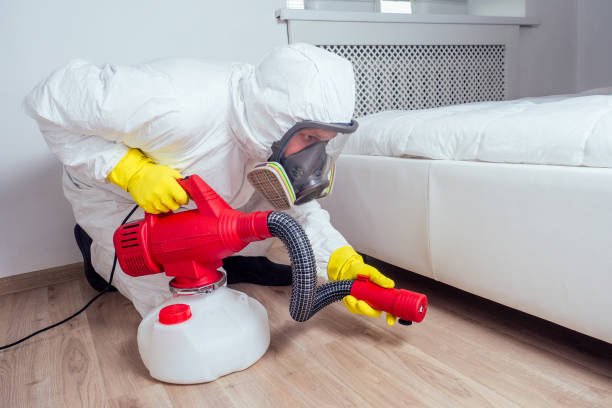 Best Affordable Pest Control Services  in Comfort, TX