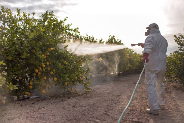 Pest Control for Restaurants in Comfort, TX