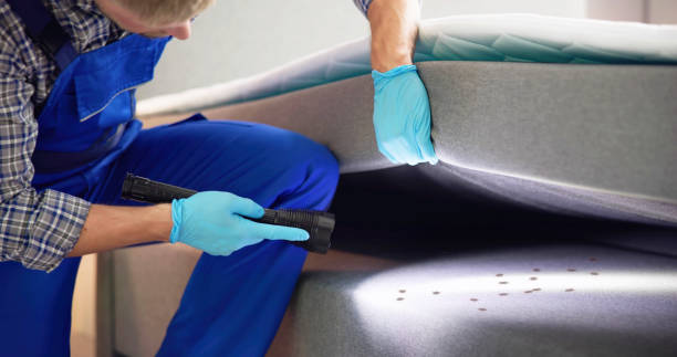 Best Rat Extermination Near Me  in Comfort, TX