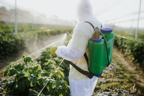 Best Wildlife Control Services  in Comfort, TX